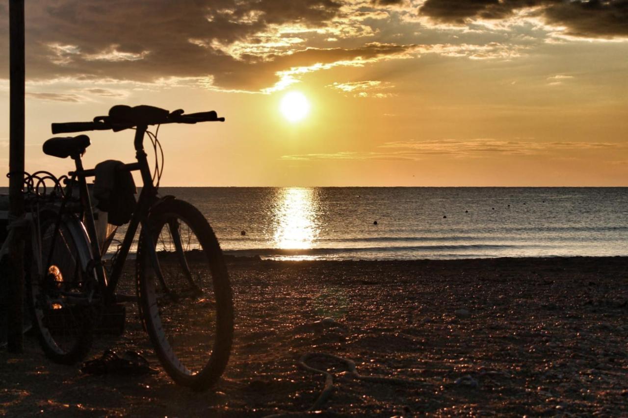 Ittiturismo Il Vecchio E Il Mare * Grottammare
